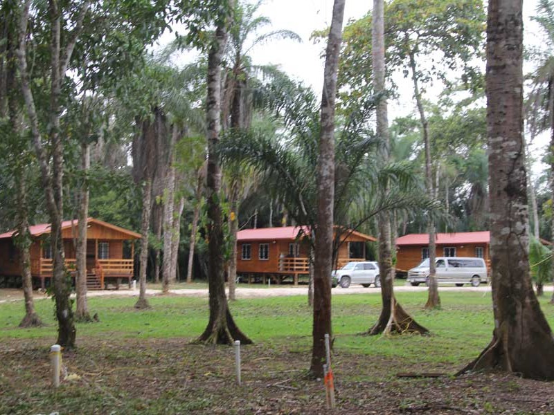 WGO Campus