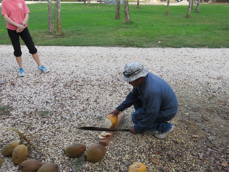 Preparing the coconuts