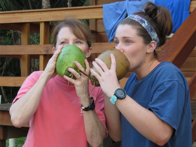 Tasting both young and mature coconuts