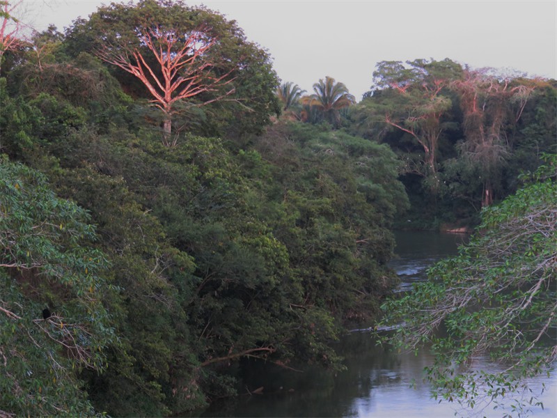 River that flows behind the Campus.  Complete with croc's 