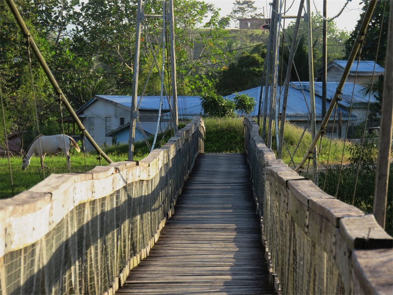 The Bridge