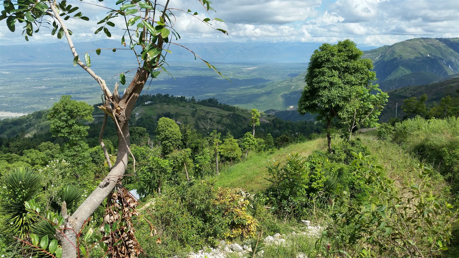 Haiti_026