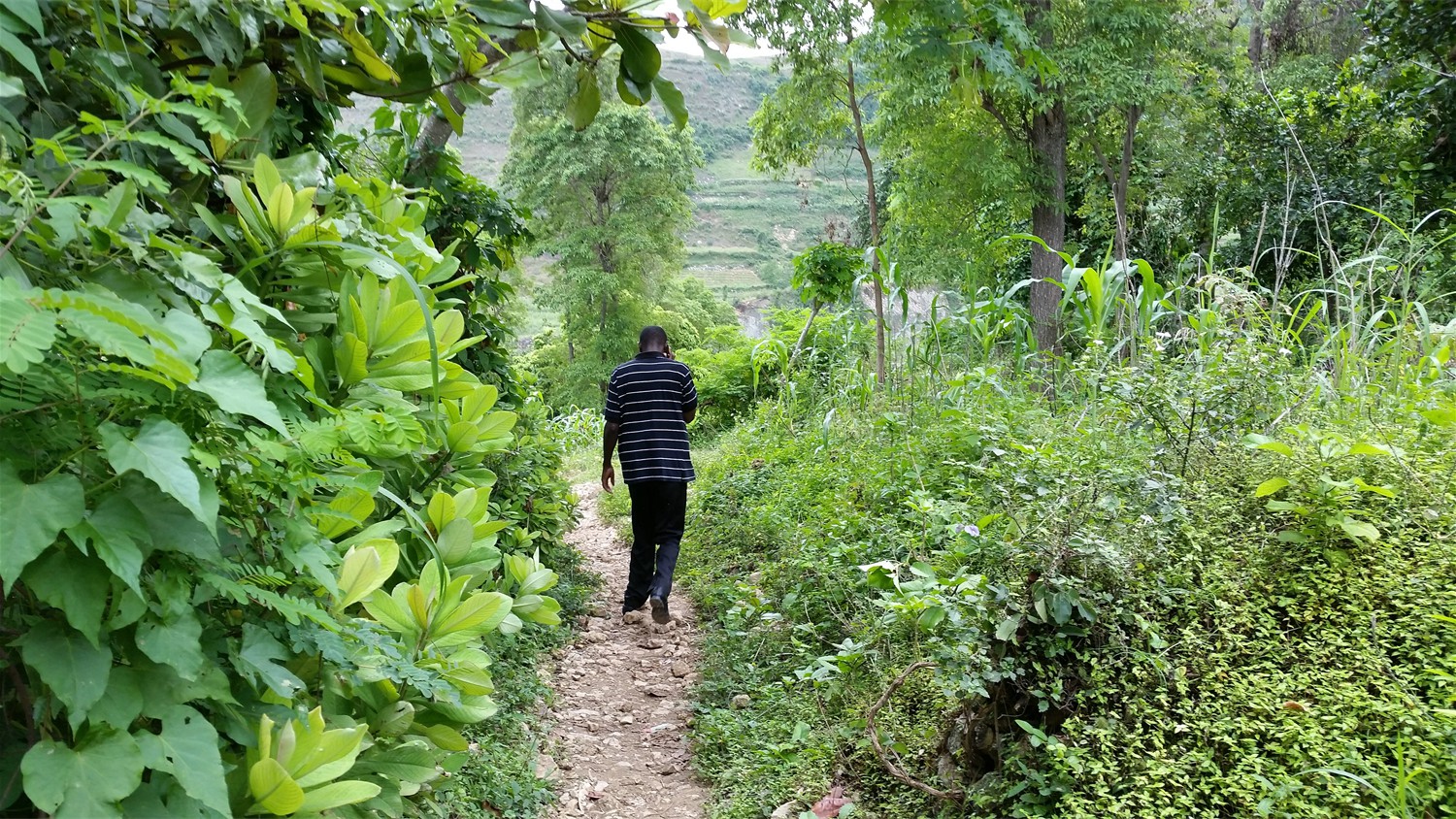 Haiti_028