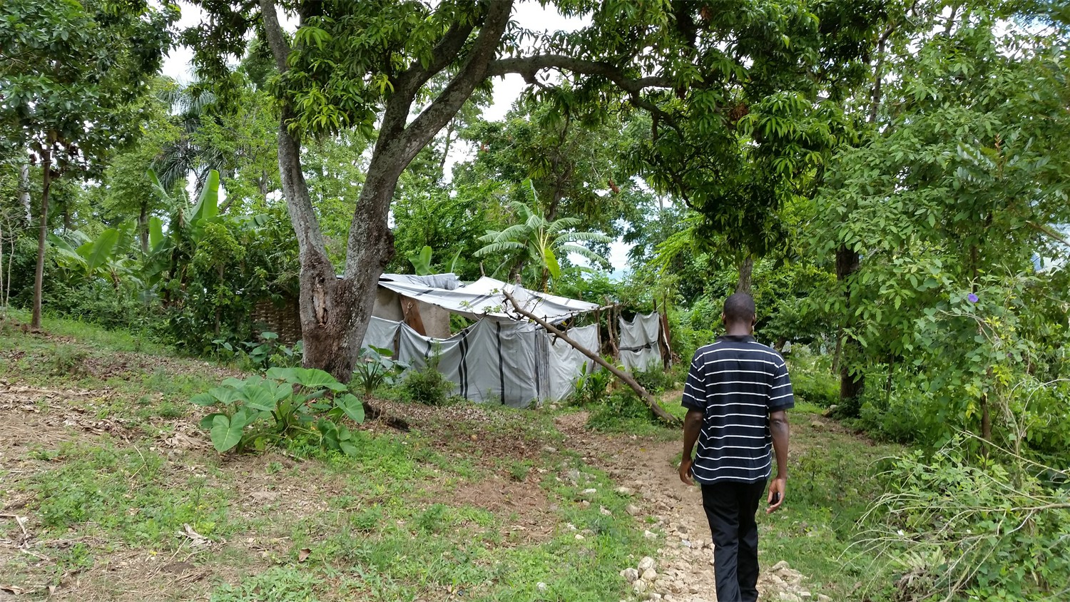 Haiti_029