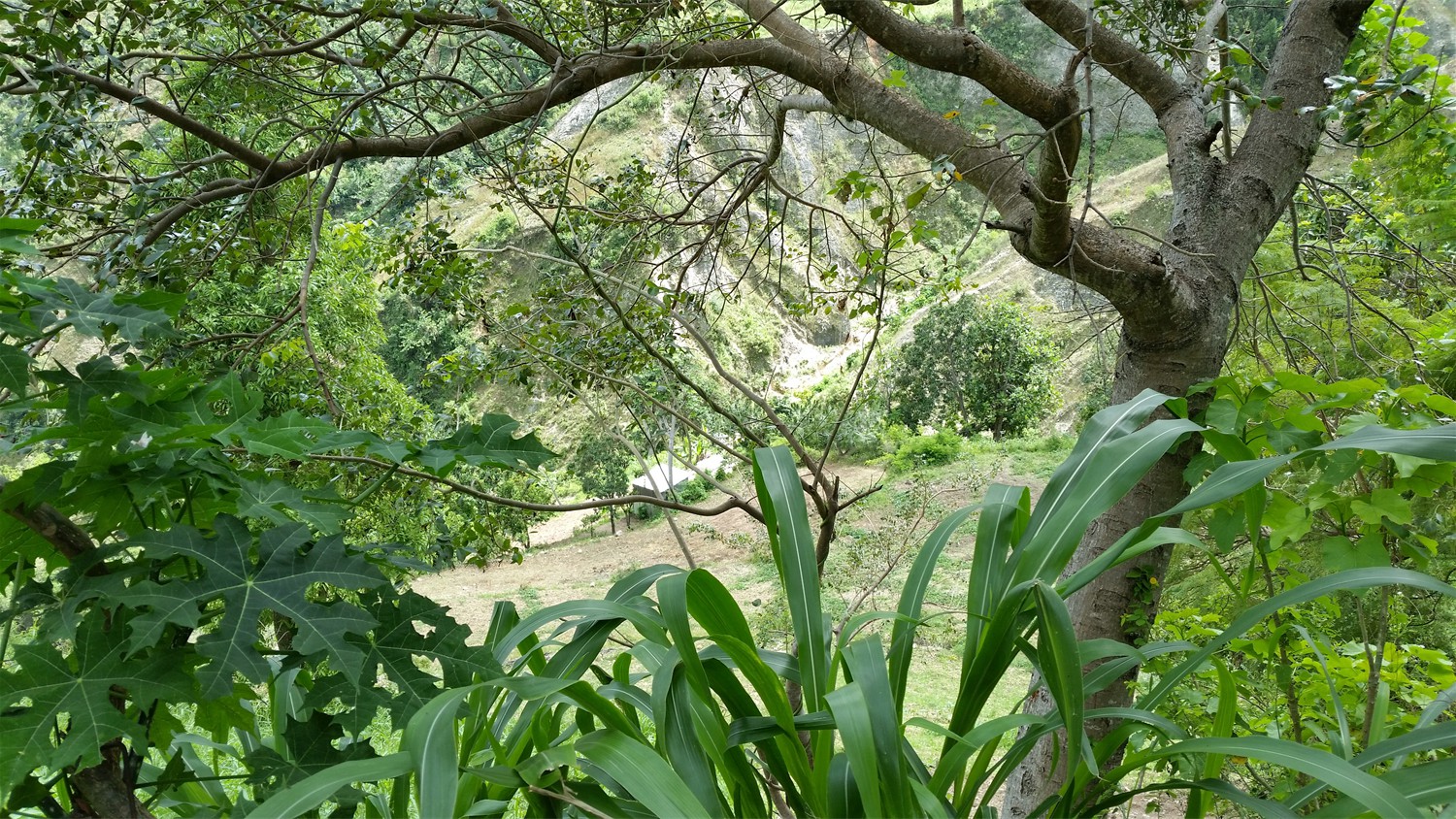Haiti_030