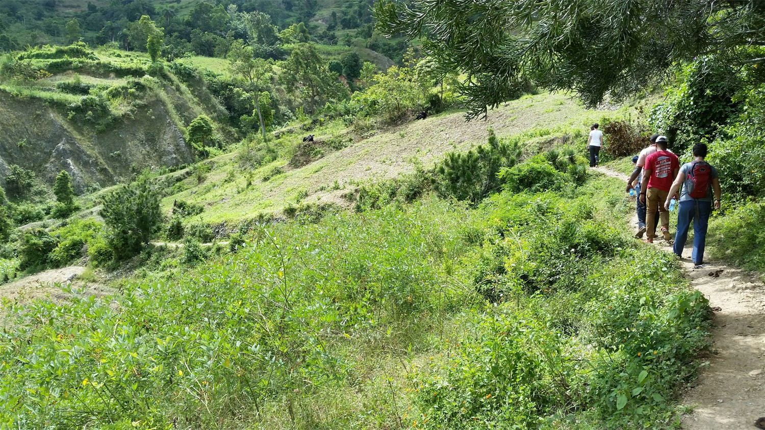 Haiti_031
