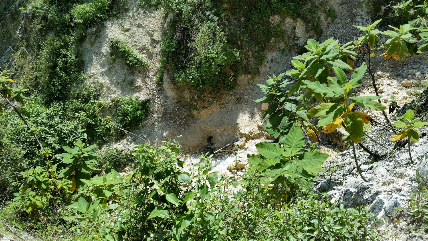 Haiti_032
