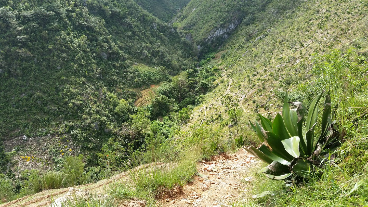 Haiti_062