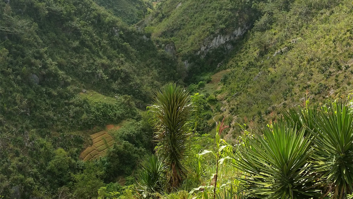 Haiti_064