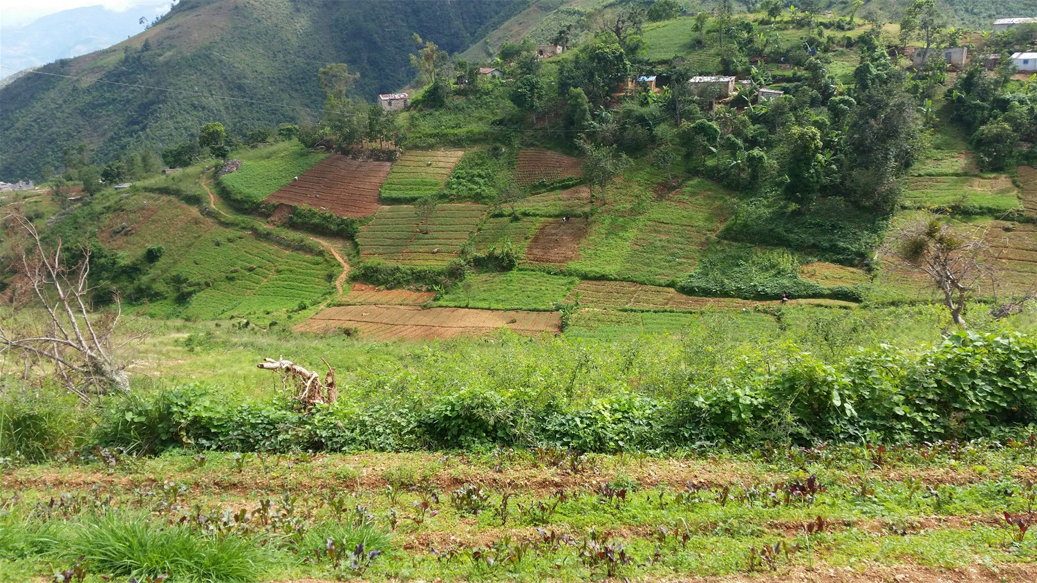 Haiti_065