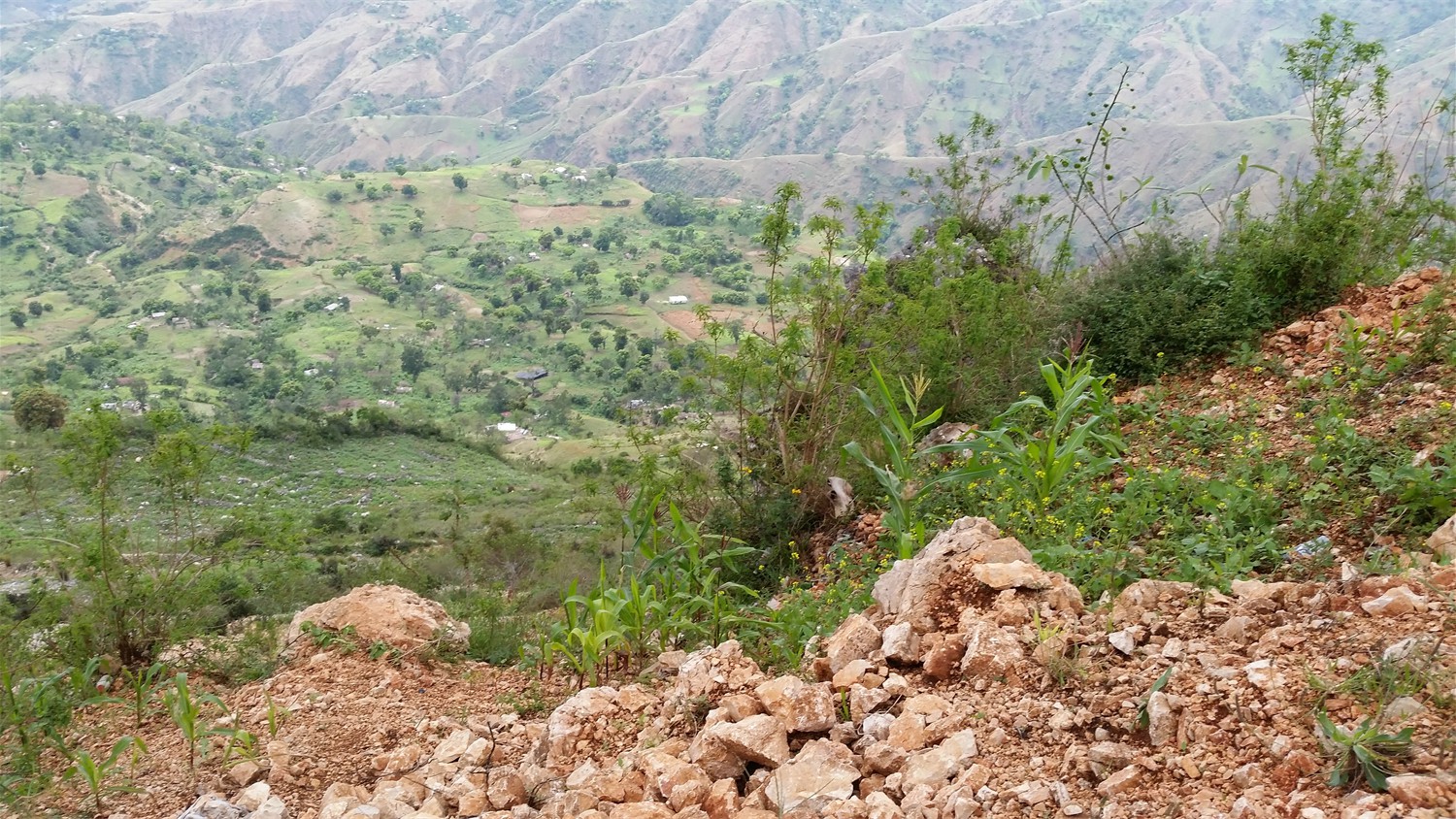 Haiti_075