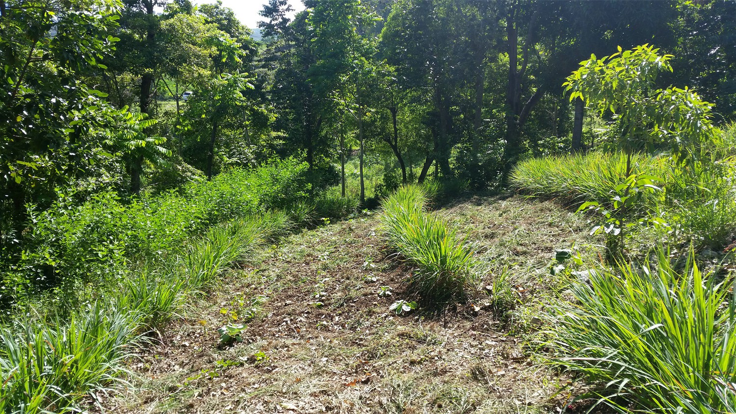 Haiti_082