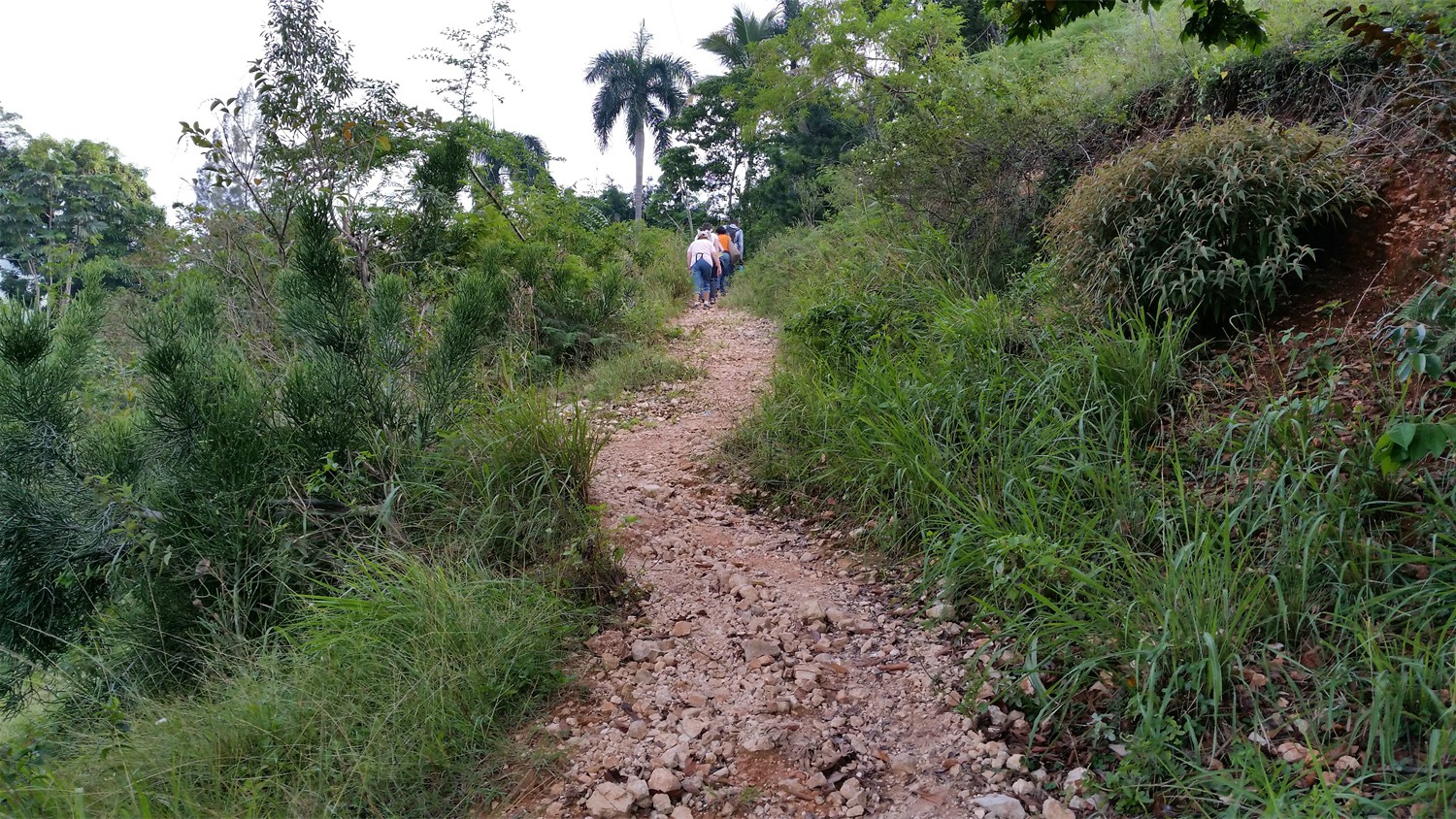 Haiti_093