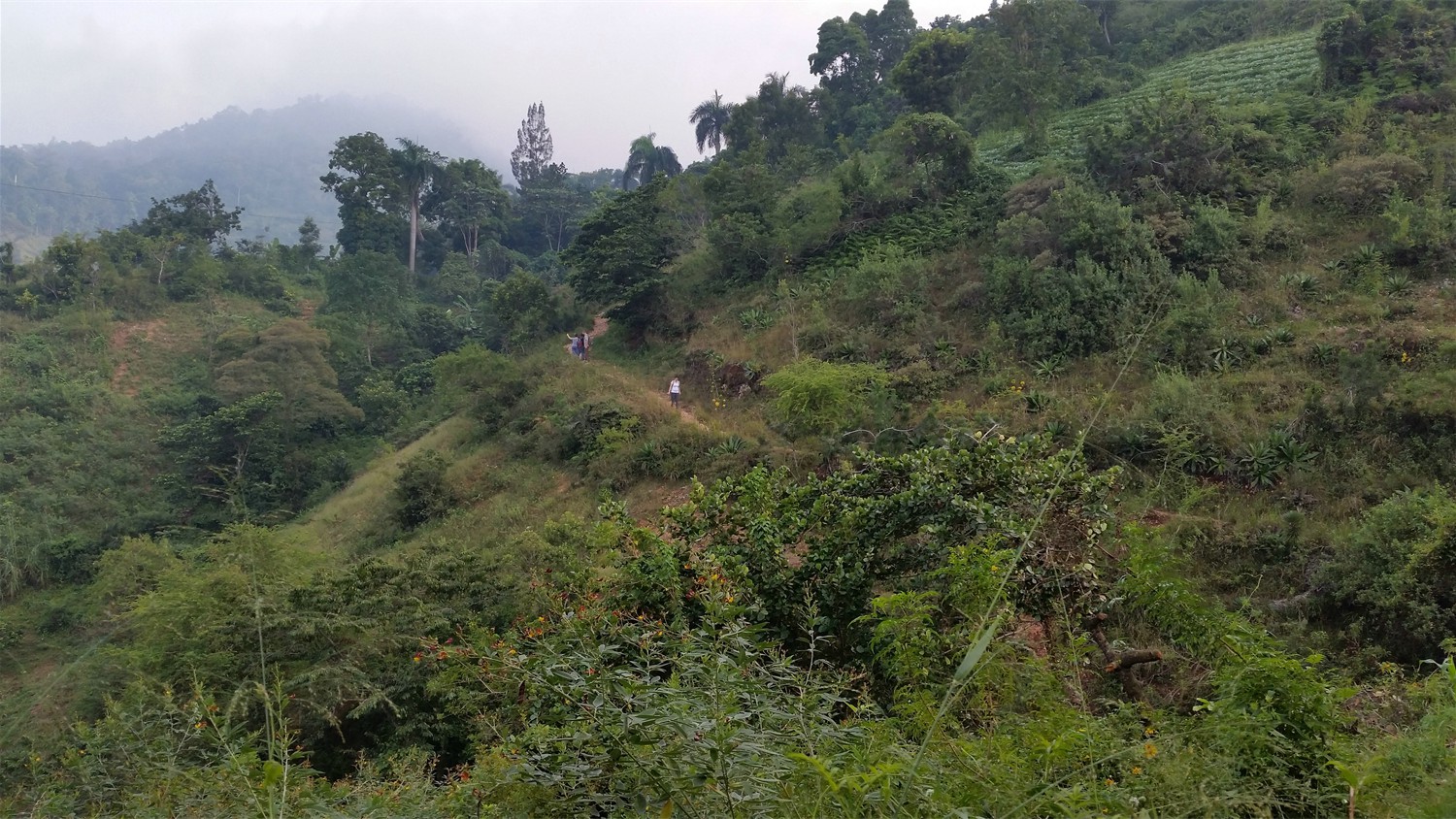 Haiti_094