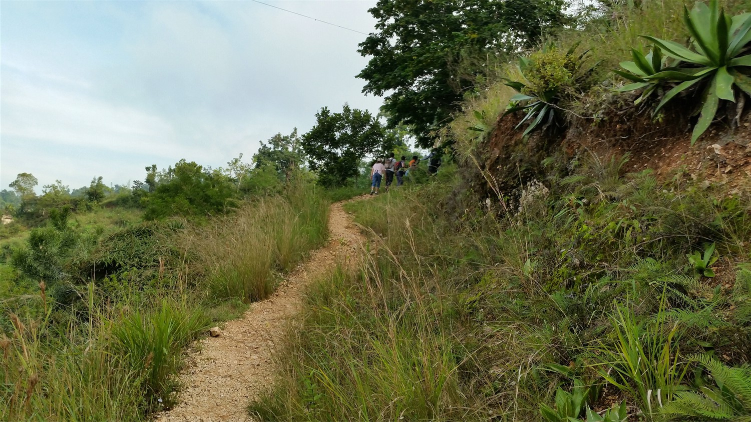 Haiti_095